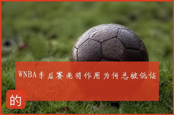 WNBA季后赛老将作用为何总被低估